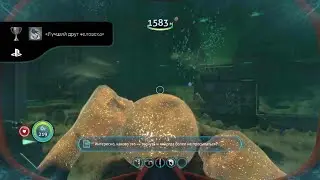 Man's Best Friend / Лучший друг человека Trophy Subnautica 