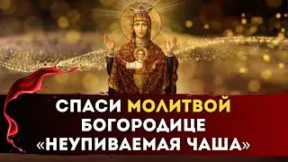 🍷СПАСИ Молитвой БОГОРОДИЦЕ «Неупиваемая чаша»
