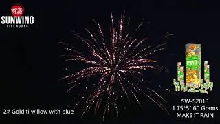 MAKE IT RAIN - Sunwing Fireworks - 60 Gram Canister Shell - SW S2013