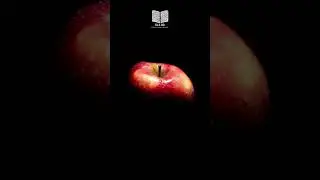 La manzana - Ana Maria Shua (audio) | 