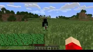 Bukkit Tutorial - LibsDisguises Plugin