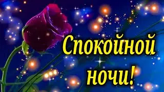 Ночь любит тайну тишины прекрасной, Не терпит лишних и ненужных слов...