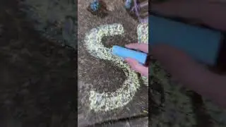 Backyard chalk lettering!