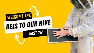 Welcome the bees to their hive with us!