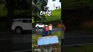Magicl Ooty Tea Estate view | ஊட்டி one Day Trip | Awesome Climate