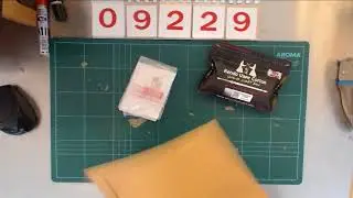 9229