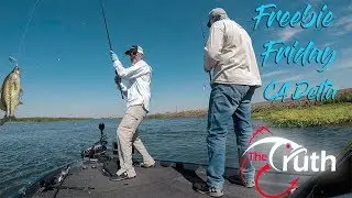 How to Catch Bass on The Ca Delta - Freebie Friday #3