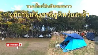 กางเต็นท์สัมผัสลมหนาวอุทยานแห่งชาติภูหินร่องกล้า