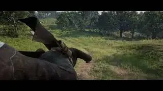 I cannot seem to horse properly in RDR2