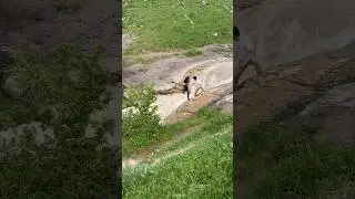 Вот это слово пацана! ОТВЕЧАЮ!