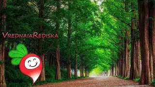 [Perfect 1.3.6] Побегушки за вара.