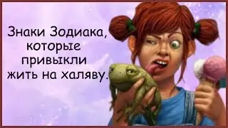 ЗНАКИ ЗОДИАКА КОТОРЫЕ ПРИВЫКЛИ ЖИТЬ НА ХАЛЯВУ