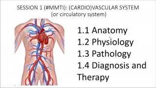 Medicine for medical translators 1: Cardiovascular system