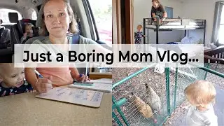 *NEW!* Homemaking, Homeschooling, Chickens, and Cavities // boring mom vlog // Mommy Etc