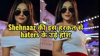 Shehnaaz Gill ने haters की उड़ाई नींद बजा  डंका Shehnaaz का shocking। ।