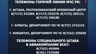 Горячие линии для родственников и близких погибших