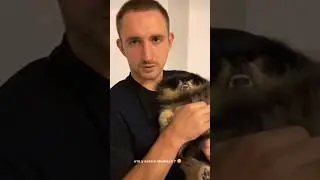 ЛИТВИН И АБЬЮЗИВНЫЕ ОТНОШЕНИЯ С СОБАКОЙ! 