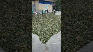 Маскувальна сітка сплетена з любовʼю