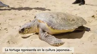 Suelta de Victoria