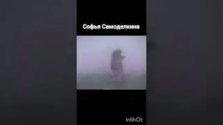 Дебют Софьи Самоделкиной на Чемпионате Казахстана #фигурноекатание #figureskating #юмор