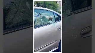 How to break a car window?
