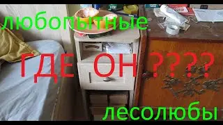 Он думал что хорошо спрятался!!! не тут то было!!!