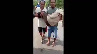 Kecelakaaan mobil pembawa siswi gontor Moderen Poso