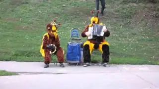 Пчёлкина залихватская.