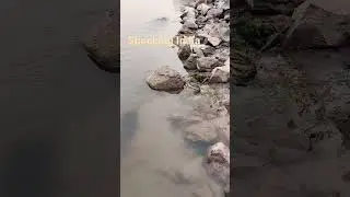 Shocking India