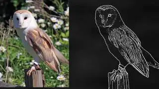 How to turn Photo into Chalk Effect in Photoshop
