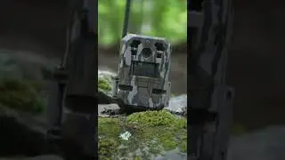 Get some #moultrie #moultriemobile #moultrieedgepro #trailcam #hunting #deerhunting #archery #shorts