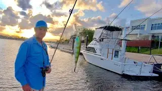 Canal Tactics For Mangrove Jack - Rock Walls, Bridges, Boats and Pontoons