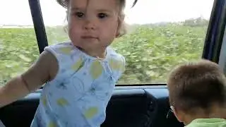 Поездка за пшеницей.