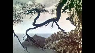 Диафильм Памятники природы Крыма