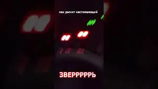Как рычит настоящий зверь !