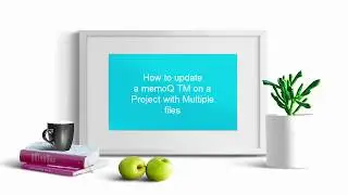 Translator training: How to update a MemoQ TM on a project with multiple files