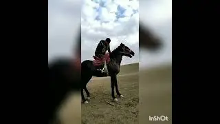 Тренировка
