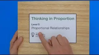 Proportional Relationships