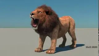 iC7 to C4D: 
