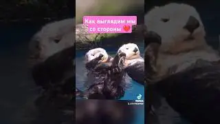 Как мы выглядим со стороны. Милота этого видео зашкаливает