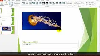 How To create A PowerPoint Presentation