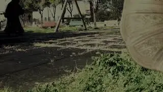 NYMPHA VELATA- Miluzza (Trailer)