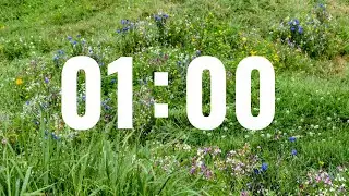 1 Minute Countdown Timer with Dreamy, Laid Back Music