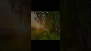 Задаю вопросы к лету день 11