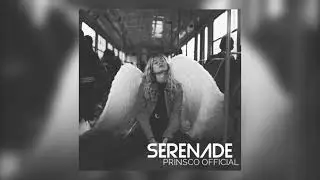 Sérénade - Prinsco Official 2024