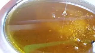 Живой янтарь