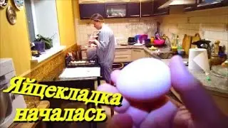 Таня мной командует / Моем яйца и ложимся спать