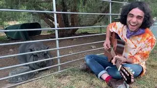 Del Water Gap - Don't Say Nothing (Live for Petunia the Pig)