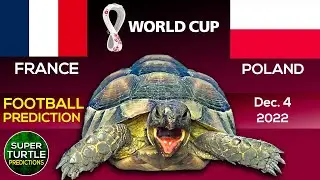 France vs Poland ⚽ FIFA World Cup 2022 | 🐢 Turtle Football Predictions