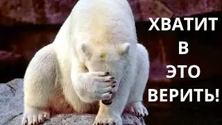 МИФЫ, В КОТОРЫЕ ПОРА ПЕРЕСТАТЬ ВЕРИТЬ II